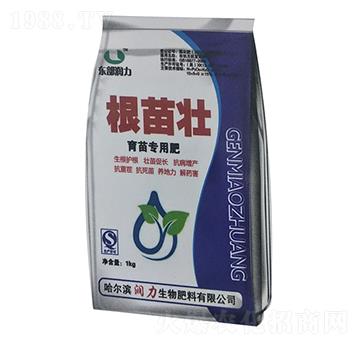 ���猣�÷�-�����-����