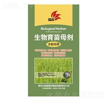 ��������ĸ��-����