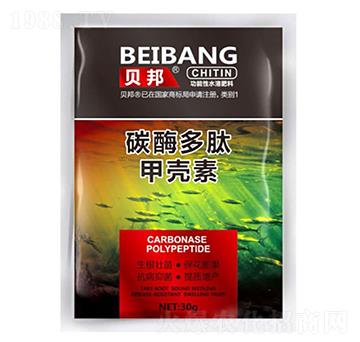 ̼ø���ļך��أ�����-�κ��r(n��ng)�I(y��)