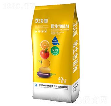 10�|΢�������-���ֵ�-���r(li��n)��