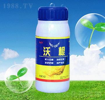 �ָ��~���-�ʺͷʘI(y��)