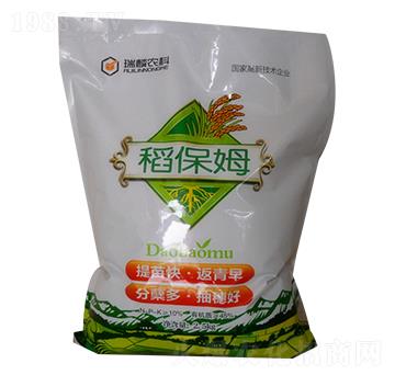 ����ķ���������-����