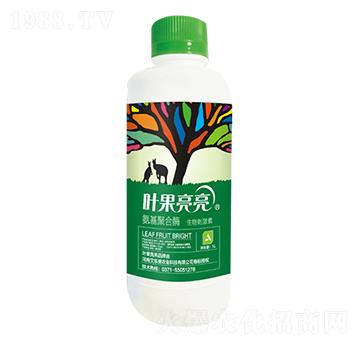 �����ۺ�ø-�~������-������