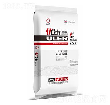 20kg����Ԫ��ˮ�ܷ���20-20-20+TE-��(y��u)��-���r(n��ng)�S�ʘI(y��)