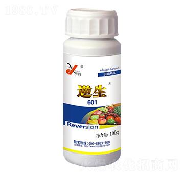 ����601-꿾�