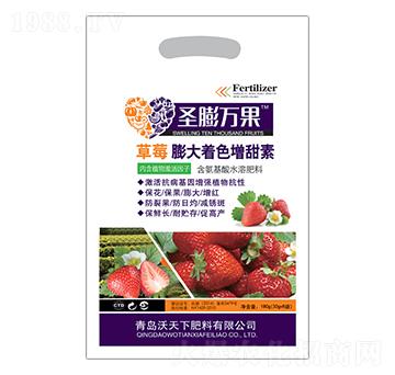 ��ݮ���������ɫ��-ʥ���f��-������