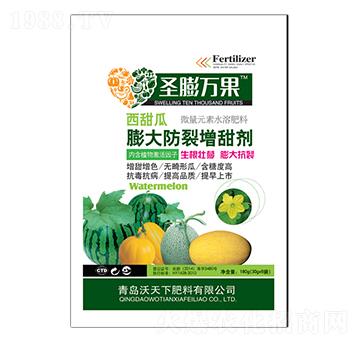 �����������������-ʥ���f(w��n)��-������