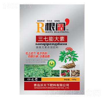 ���������-���-������