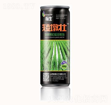 ���Չ�-����-���λ���