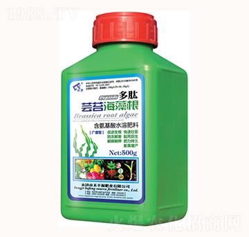 �|̦�����-���λ���