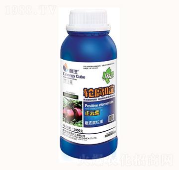 1000g݆���-���λ���