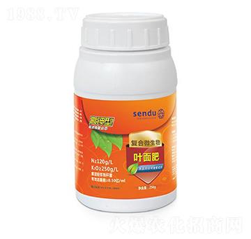 ����͏ͺ�΢�����~���-ɭ��