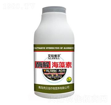 ø�⺣����-�����S��-��ؐ��