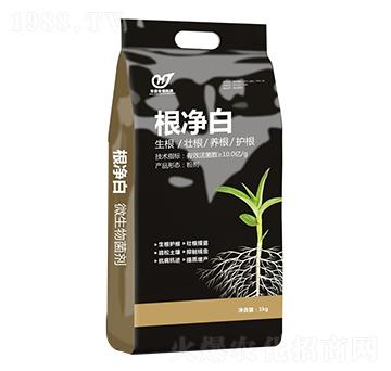 ������ �A������