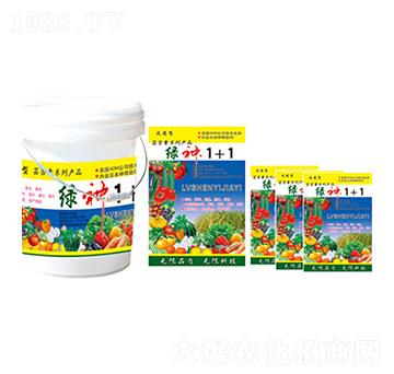 �G��1+1 �R������