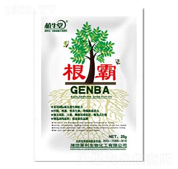 ���� �R������