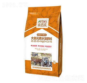 ����ƽ���ʹ���Ԫ��ˮ�ܷ���20-20-20+MqO+Ca+TE-�r(n��ng)����-���S��