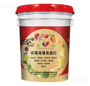 ̼ù�����~���� ���r(n��ng)ʩ���S