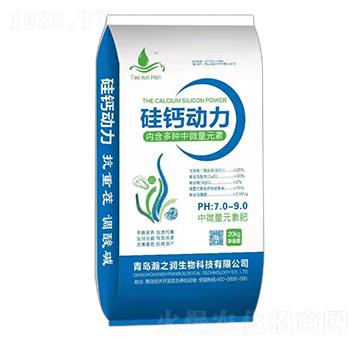 ���}��(d��ng)�� �֮������