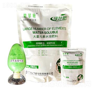 �̴�ʩ���G�~�� ���(gu��)�r(n��ng)�I(y��)