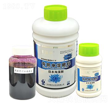 Ӣ��˼���ձ������� ����r�I(y��)