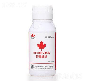 �ֶ�ӭ�G�����β������� �G�ʼt��