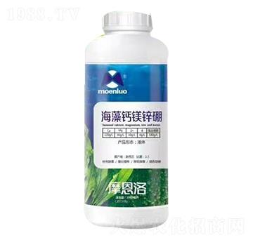 �����}�V�\�� Ħ����