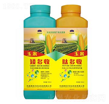 ���׿������a�ײ�-�����S-���Π�