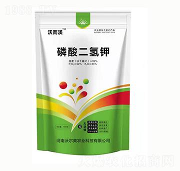 �������� �֠���