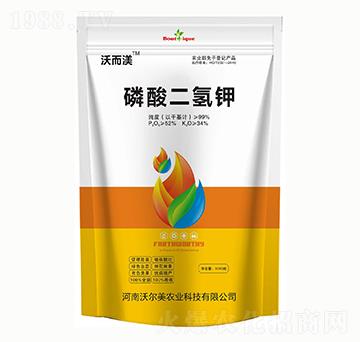 1000g�������� �֠���