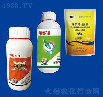 ���x�M�Ϣ� ��Ƚ���W