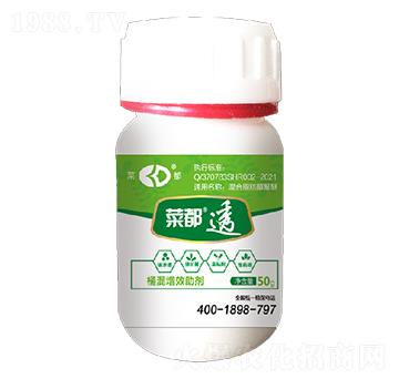 Ͱ����Ч���� �˶�͸ ��Ƚ���W