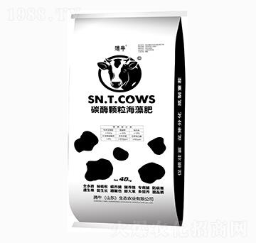 ̼ø�w�������-�vţ