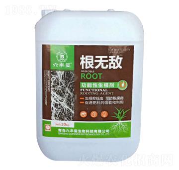 ���������������أ����S�t