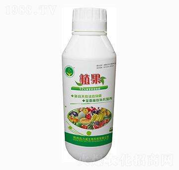 12Ԫ�ؠI(y��ng)�B(y��ng)���w��-ֲ��-������