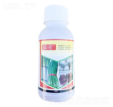 �²��[�⚢����-����r��