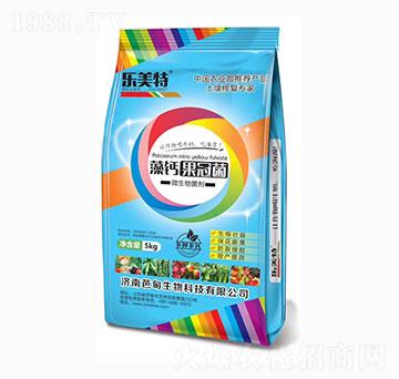 ������ھ�-��(l��)����-�ŵ�����