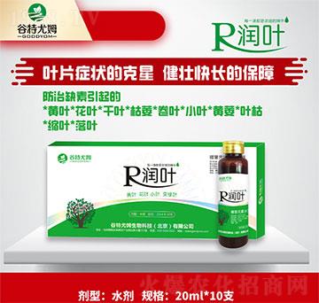 ���~-�S�~�����~��С�~׃�G�~-������ķ