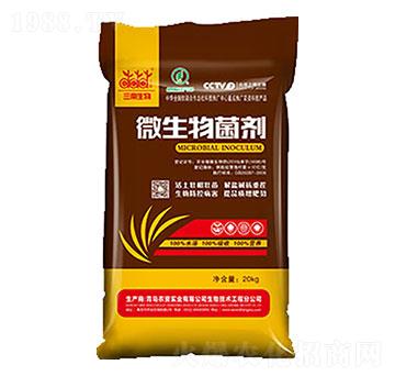 10�|΢������� �����_(d��)