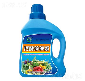 �}�V�\���-���S�߿�