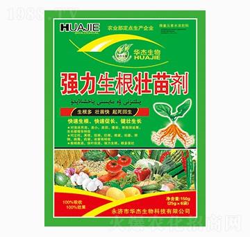 �����������焩-�A������