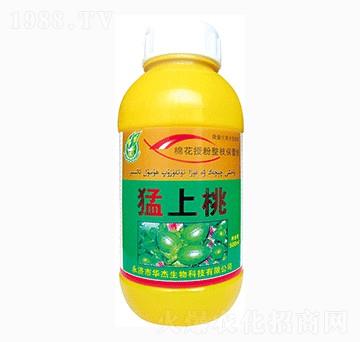 ������-�A������