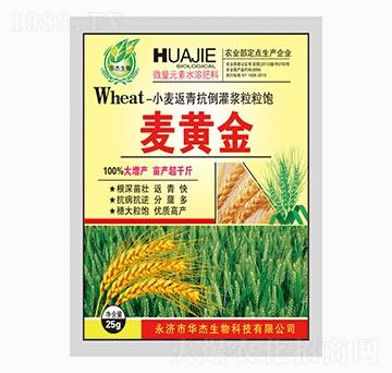 С�����࿹�����{�����-���S��-�A������