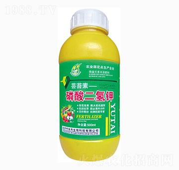 500ml��������-�A������