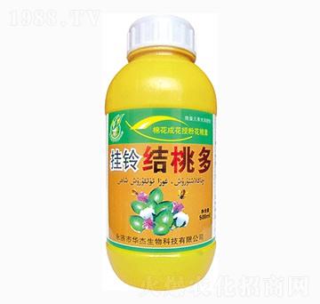 ��⏽Y(ji��)�Ҷ�-�A������