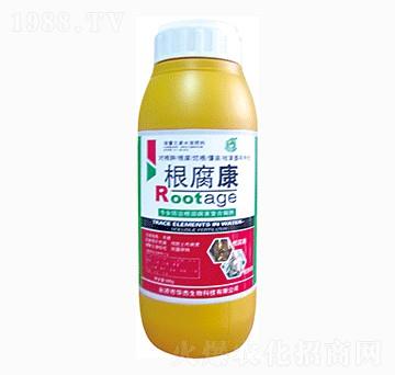 ������-�A������