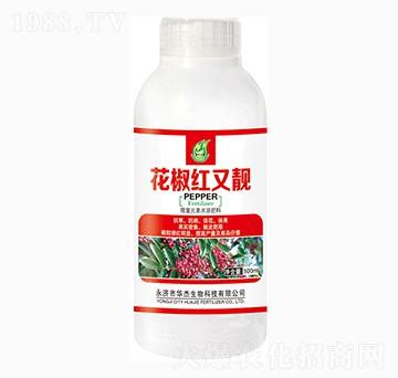 500ml�����t���n-�A������