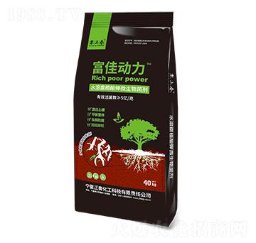 ���ф�(d��ng)�� ���W����