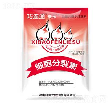 ��(x��)�������� ����