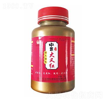 �������ּt-���A��